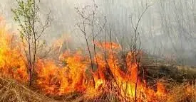 Поліція закликає мешканців Нововодолажчини не спалювати суху траву та листя Поліція закликає мешканців Нововодолажчини не спалювати суху траву та листя на порталі Gromada Group