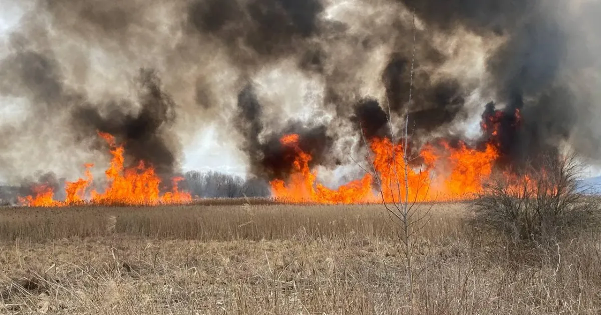Світлини: ДСНС Харківщини На Нововодолажчині тривають пожежі в екосистемах, а на Богодухівщині вже є перша жертва спалювання трави на порталі Gromada Group