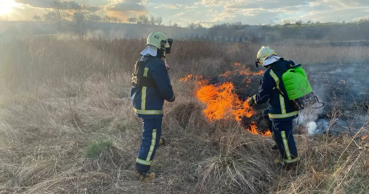 Світлини: Харківське районне управління ГУ ДСНС України в Харківській області В селі на Нововодолажчині горіла суха рослинність на порталі Gromada Group