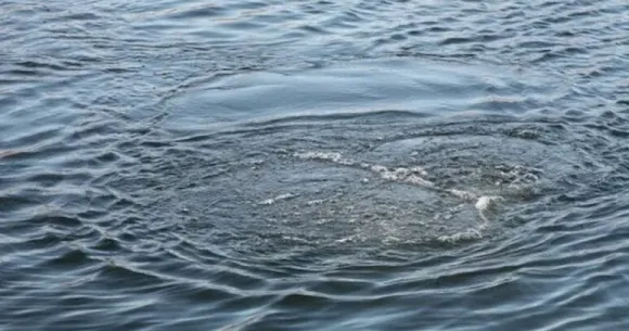 Фото ілюстративне, з відкритих джерел У Новій Водолазі потонула людина на порталі Gromada Group
