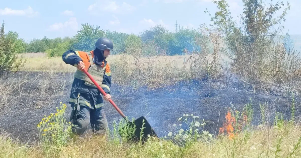 Фото: Харківське районне управління ГУ ДСНС України в Харківській області У Нововодолазькій громаді знову горіла суха рослинність на порталі Gromada Group