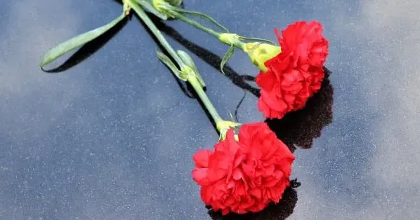 Пішов з життя колишній головний архітектор Нововодолазького району Пішов з життя колишній головний архітектор Нововодолазького району на порталі Gromada Group