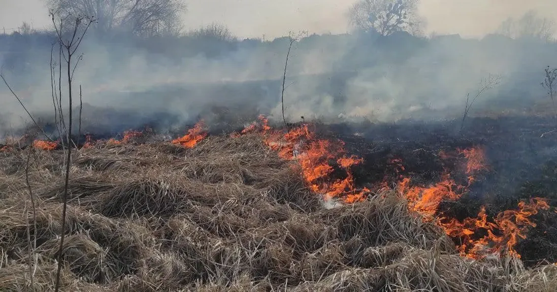 Фото: Харківське районне управління ГУ ДСНС України в Харківській області На Нововодолажчині знову горіла суха трава на порталі Gromada Group