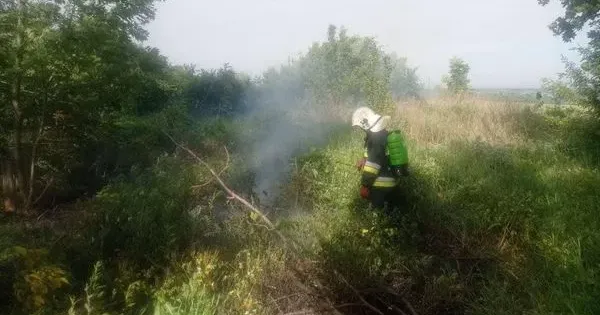 Фото: Харківське районне управління ГУ ДСНС України в Харківській області В Нововодолазькій громаді горів сухостій на порталі Gromada Group