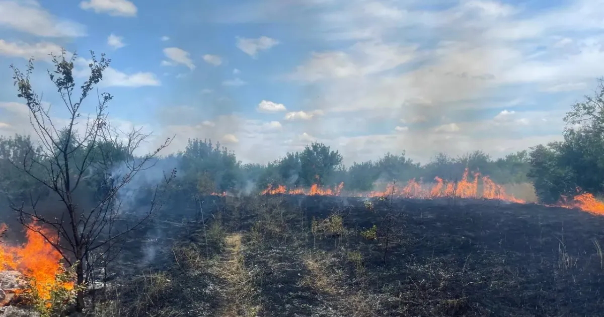 Світлини: Харківське районне управління ГУ ДСНС України в Харківській області Нововодолазькі рятувальники майже щодня борються з пожежами в екосистемах на порталі Gromada Group
