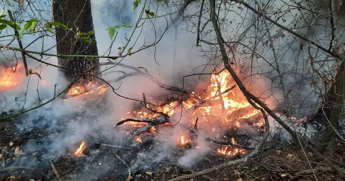 Світлини: Харківське районне управління ГУ ДСНС України в Харківській області Щодня на Нововодолажчині - пожежі на порталі Gromada Group